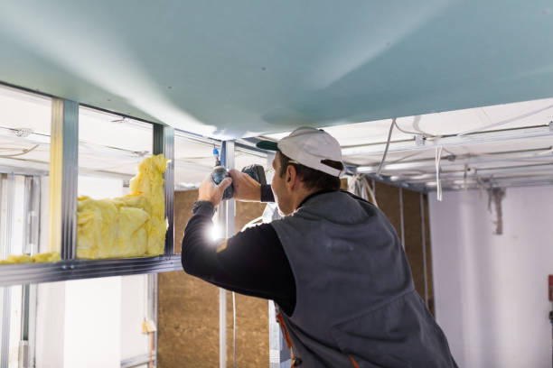 Best Commercial Insulation in Luling, TX